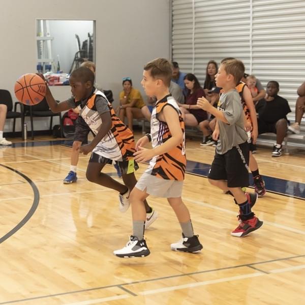 NEMESIS Athletics Basketball gallery